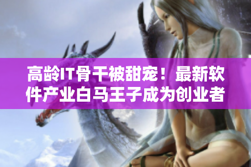 高齡IT骨干被甜寵！最新軟件產(chǎn)業(yè)白馬王子成為創(chuàng)業(yè)者青睞