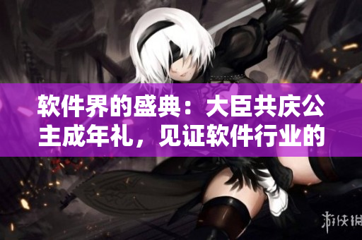 軟件界的盛典：大臣共慶公主成年禮，見證軟件行業(yè)的騰飛