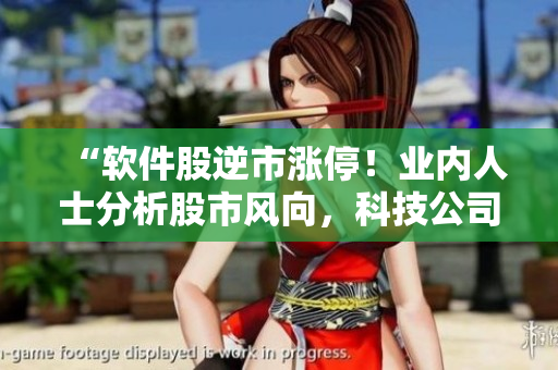 “軟件股逆市漲停！業(yè)內(nèi)人士分析股市風(fēng)向，科技公司股價(jià)突破歷史新高”