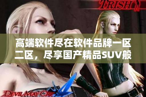 高端軟件盡在軟件品牌一區(qū)二區(qū)，盡享國產(chǎn)精品SUV般的暢快體驗(yàn)！