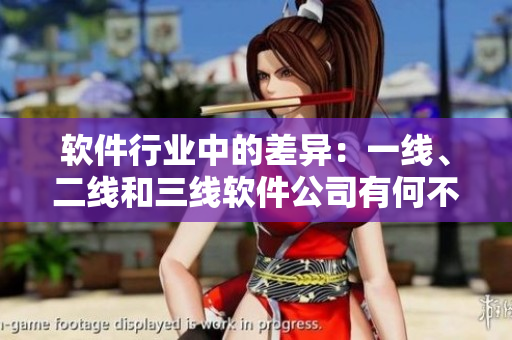 軟件行業(yè)中的差異：一線、二線和三線軟件公司有何不同？