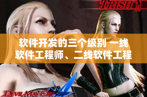 軟件開發(fā)的三個(gè)級(jí)別 一線軟件工程師、二線軟件工程師和三線軟件工程師