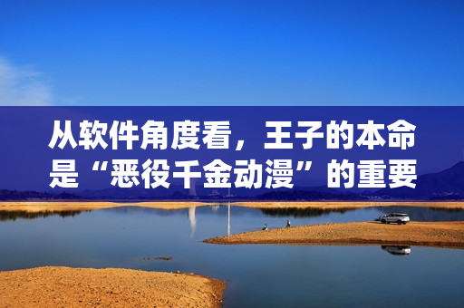 從軟件角度看，王子的本命是“惡役千金動漫”的重要元素