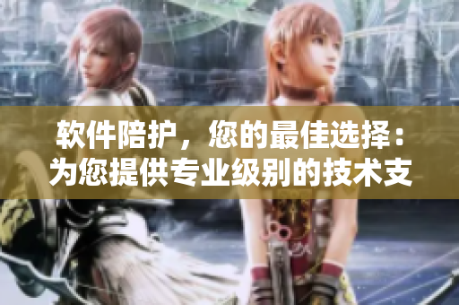 軟件陪護(hù)，您的最佳選擇：為您提供專業(yè)級別的技術(shù)支持