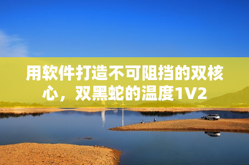 用軟件打造不可阻擋的雙核心，雙黑蛇的溫度1V2