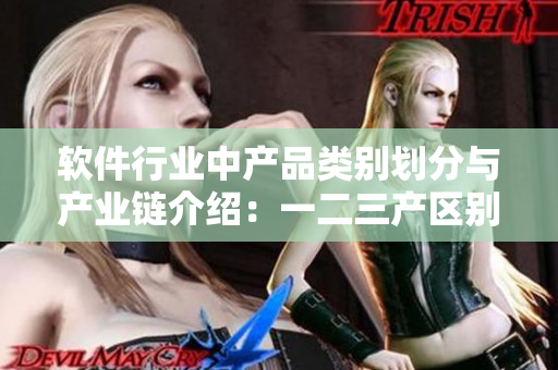 軟件行業(yè)中產品類別劃分與產業(yè)鏈介紹：一二三產區(qū)別簡明了解