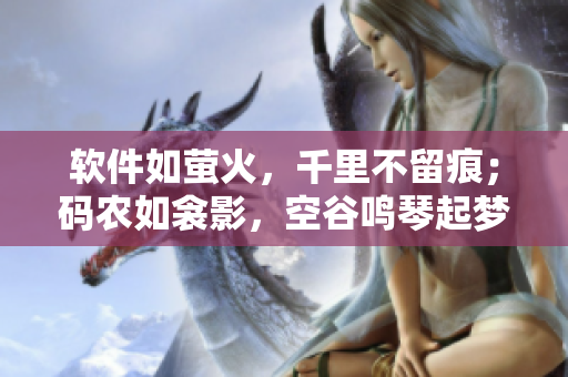 軟件如螢火，千里不留痕；碼農(nóng)如衾影，空谷鳴琴起夢(mèng)。——一篇軟件故事