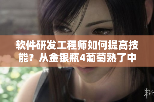 軟件研發(fā)工程師如何提高技能？從金銀瓶4葡萄熟了中汲取靈感