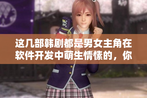 這幾部韓劇都是男女主角在軟件開發(fā)中萌生情愫的，你看過幾部？