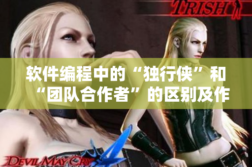 軟件編程中的“獨行俠”和“團隊合作者”的區(qū)別及作用分析