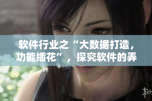 軟件行業(yè)之“大數(shù)據(jù)打造，功能插花”，探究軟件的弄潮兒精神