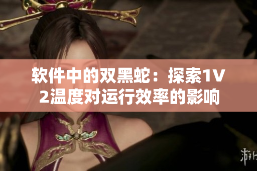 軟件中的雙黑蛇：探索1V2溫度對(duì)運(yùn)行效率的影響