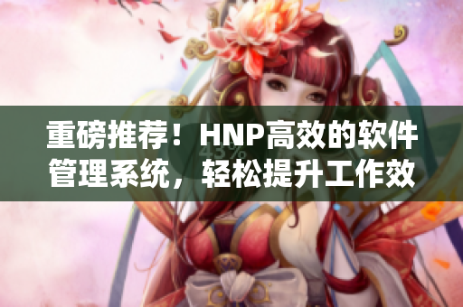 重磅推薦！HNP高效的軟件管理系統(tǒng)，輕松提升工作效率