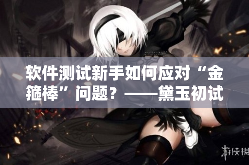 軟件測(cè)試新手如何應(yīng)對(duì)“金箍棒”問(wèn)題？——黛玉初試軟件測(cè)試