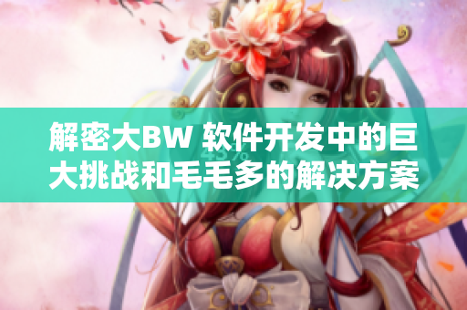 解密大BW 軟件開發(fā)中的巨大挑戰(zhàn)和毛毛多的解決方案