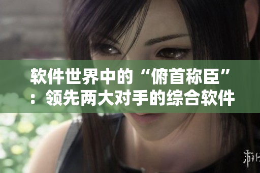 軟件世界中的“俯首稱臣”：領(lǐng)先兩大對(duì)手的綜合軟件解決方案