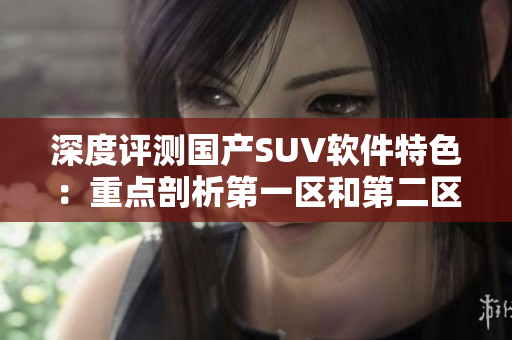 深度評測國產SUV軟件特色：重點剖析第一區(qū)和第二區(qū)的差異