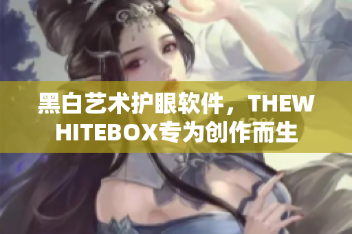 黑白藝術(shù)護(hù)眼軟件，THEWHITEBOX專為創(chuàng)作而生