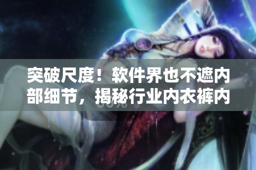 突破尺度！軟件界也不遮內(nèi)部細(xì)節(jié)，揭秘行業(yè)內(nèi)衣褲內(nèi)搭解決方案
