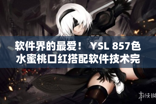 軟件界的最愛！ YSL 857色水蜜桃口紅搭配軟件技術(shù)完美上妝