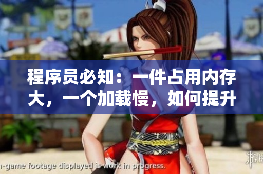 程序員必知：一件占用內(nèi)存大，一個加載慢，如何提升軟件性能？