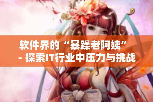 軟件界的“暴躁老阿姨” - 探索IT行業(yè)中壓力與挑戰(zhàn)