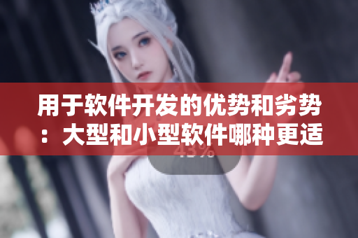 用于軟件開發(fā)的優(yōu)勢和劣勢：大型和小型軟件哪種更適合？