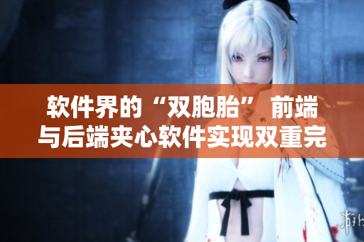 軟件界的“雙胞胎” 前端與后端夾心軟件實(shí)現(xiàn)雙重完美。
