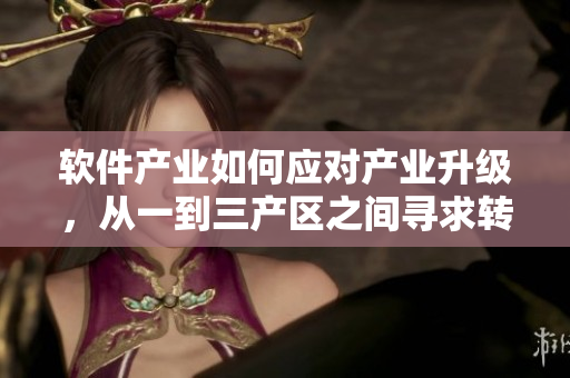 軟件產(chǎn)業(yè)如何應對產(chǎn)業(yè)升級，從一到三產(chǎn)區(qū)之間尋求轉(zhuǎn)型之路