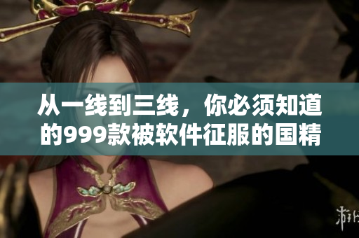 從一線到三線，你必須知道的999款被軟件征服的國精產(chǎn)品