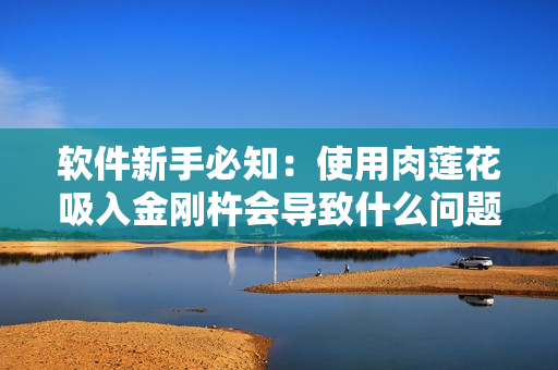 軟件新手必知：使用肉蓮花吸入金剛杵會導(dǎo)致什么問題？