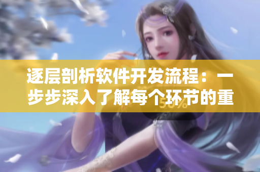 逐層剖析軟件開發(fā)流程：一步步深入了解每個(gè)環(huán)節(jié)的重要性