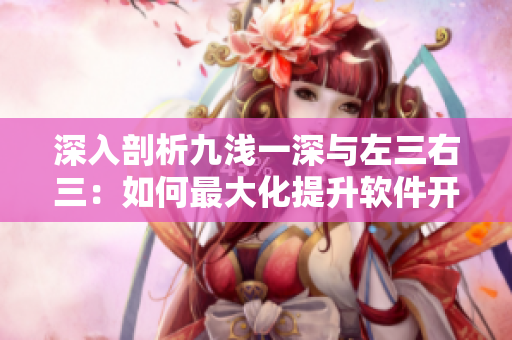 深入剖析九淺一深與左三右三：如何最大化提升軟件開發(fā)效率