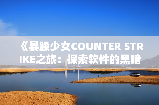 《暴躁少女COUNTER STRIKE之旅：探索軟件的黑暗面》