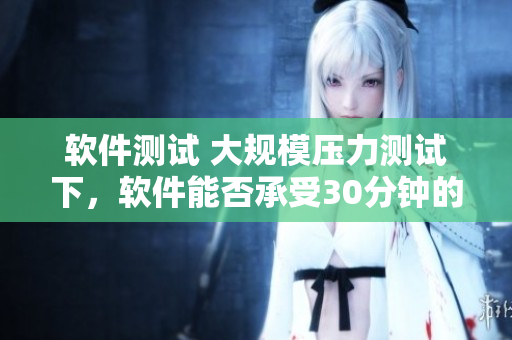 軟件測(cè)試 大規(guī)模壓力測(cè)試下，軟件能否承受30分鐘的高負(fù)載？