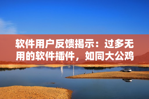 軟件用戶反饋揭示：過多無用的軟件插件，如同大公雞下巴的兩坨肉