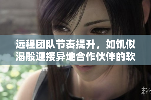 遠程團隊節(jié)奏提升，如饑似渴般迎接異地合作伙伴的軟件之道