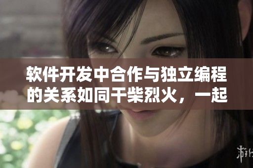 軟件開發(fā)中合作與獨立編程的關(guān)系如同干柴烈火，一起點燃更加高效。
