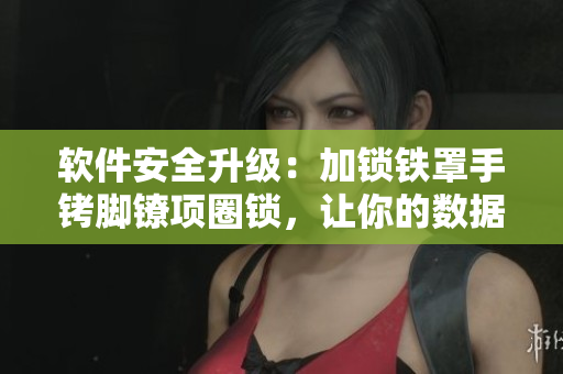 軟件安全升級(jí)：加鎖鐵罩手銬腳鐐項(xiàng)圈鎖，讓你的數(shù)據(jù)更安全