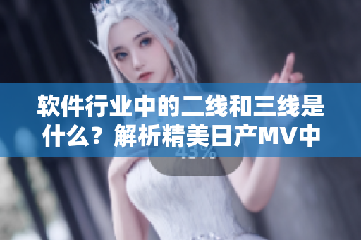 軟件行業(yè)中的二線和三線是什么？解析精美日產(chǎn)MV中的行業(yè)術(shù)語