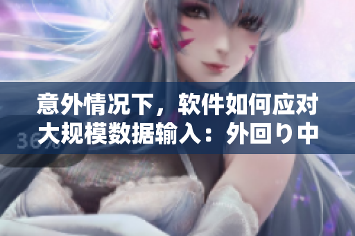 意外情況下，軟件如何應(yīng)對大規(guī)模數(shù)據(jù)輸入：外回り中的突然大雨之例