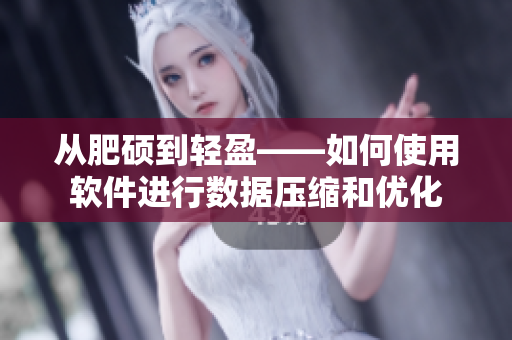從肥碩到輕盈——如何使用軟件進(jìn)行數(shù)據(jù)壓縮和優(yōu)化