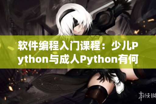 軟件編程入門課程：少兒Python與成人Python有何不同？