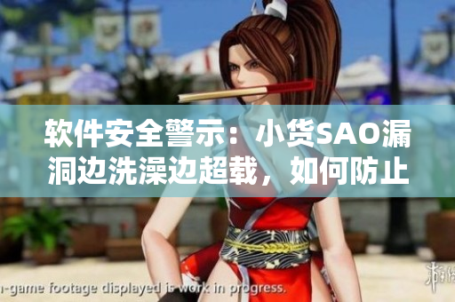 軟件安全警示：小貨SAO漏洞邊洗澡邊超載，如何防止數(shù)據(jù)泄露？
