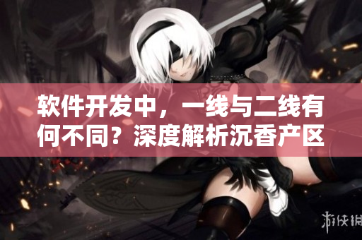 軟件開發(fā)中，一線與二線有何不同？深度解析沉香產(chǎn)區(qū)的差異
