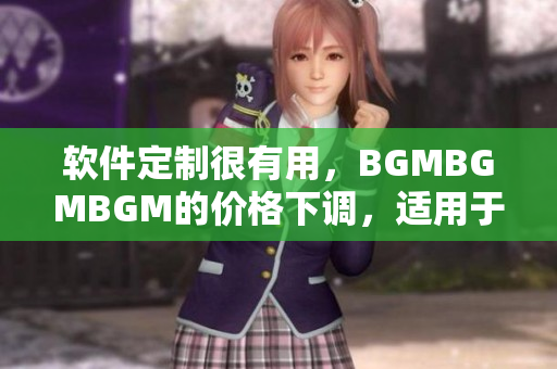 軟件定制很有用，BGMBGMBGM的價格下調(diào)，適用于企業(yè)和個人
