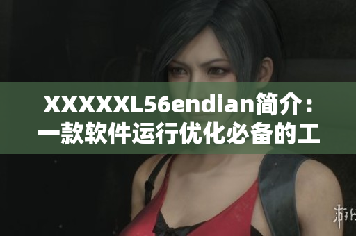 XXXXXL56endian簡介：一款軟件運(yùn)行優(yōu)化必備的工具介紹