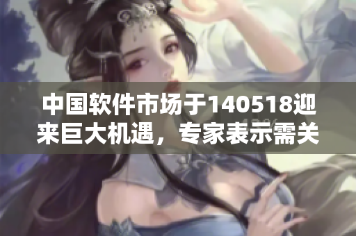 中國(guó)軟件市場(chǎng)于140518迎來(lái)巨大機(jī)遇，專家表示需關(guān)注新興技術(shù)