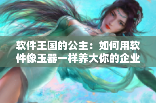 軟件王國(guó)的公主：如何用軟件像玉器一樣養(yǎng)大你的企業(yè)