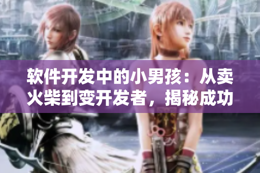 軟件開發(fā)中的小男孩：從賣火柴到變開發(fā)者，揭秘成功背后的故事